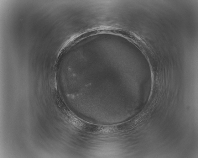 X0000056371262200509091639