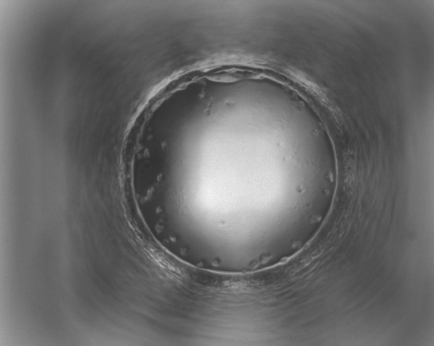 X0000056371264200509091639