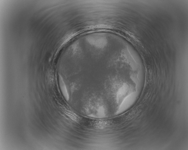 X0000056371266200509091639