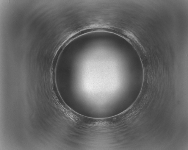 X0000056371268200509091639