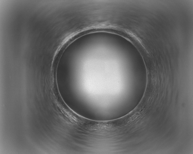 X0000056371270200509091639