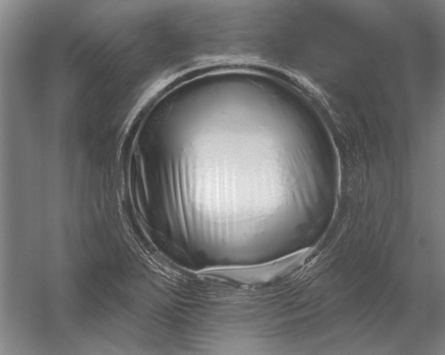 X0000056371271200509091639