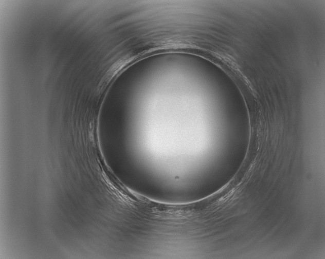 X0000056371273200509091639