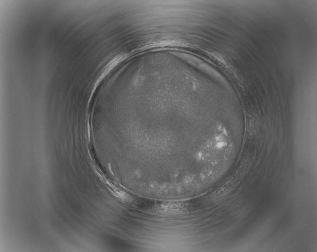 X0000056371274200509091639