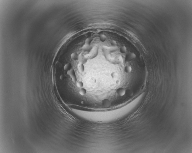 X0000056371275200509091639