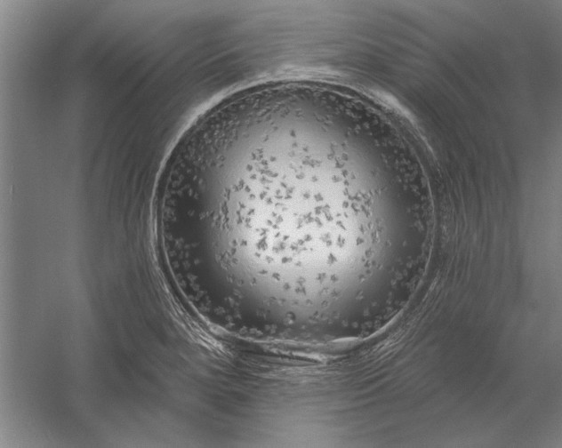 X0000056371280200509091639