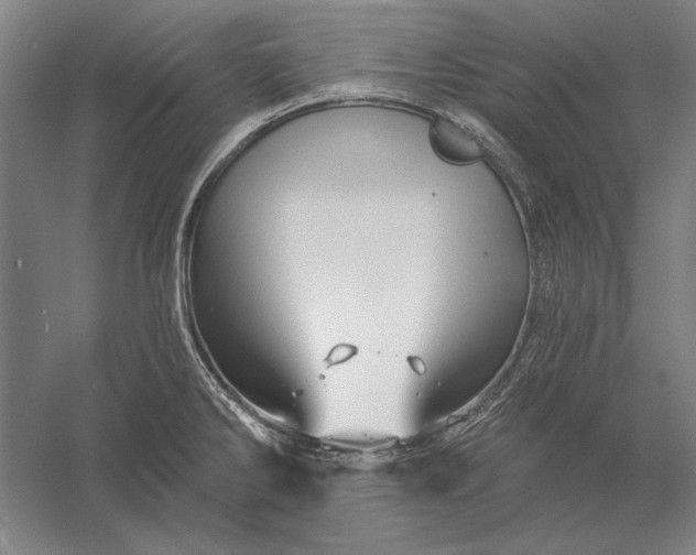 X0000056371286200509091639