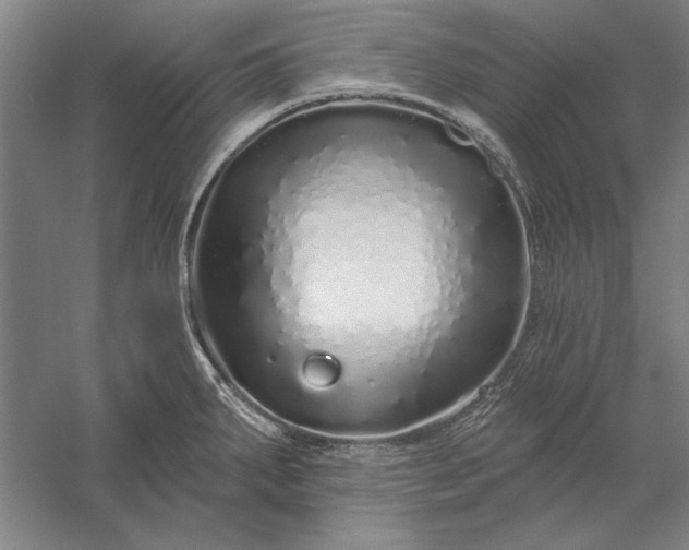 X0000056371287200509091639