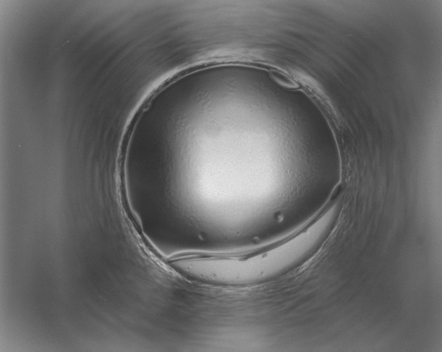 X0000056371288200509091639