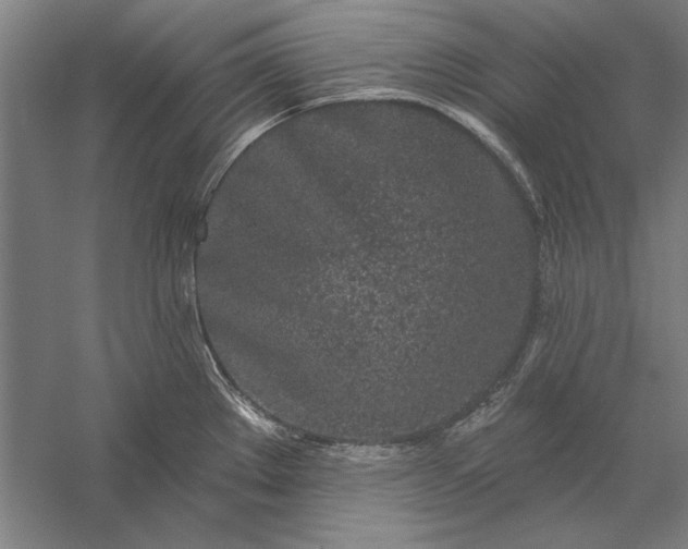 X0000056371289200509091639