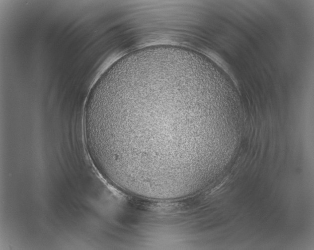 X0000056371290200509091639