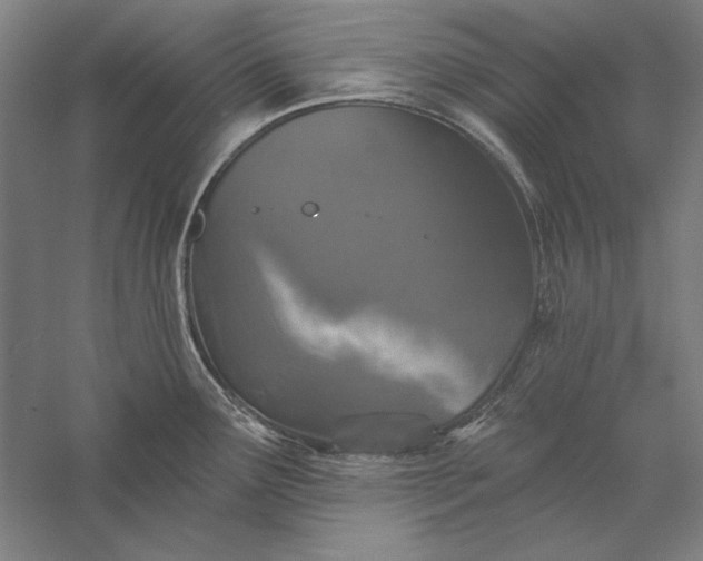 X0000056371291200509091639