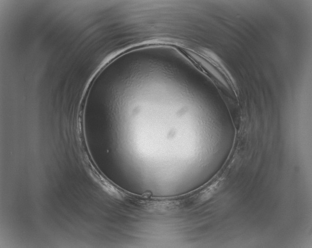 X0000056371292200509091639