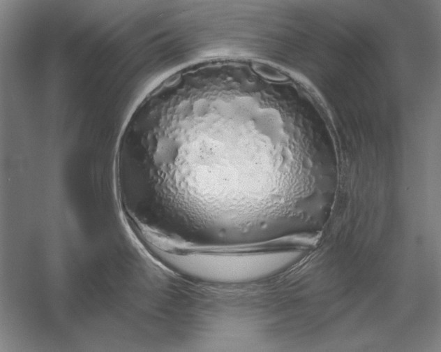 X0000056371295200509091639