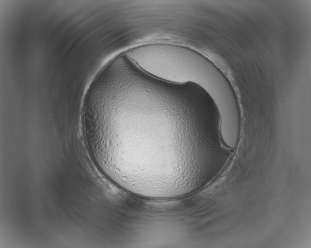 X0000056371296200509091639