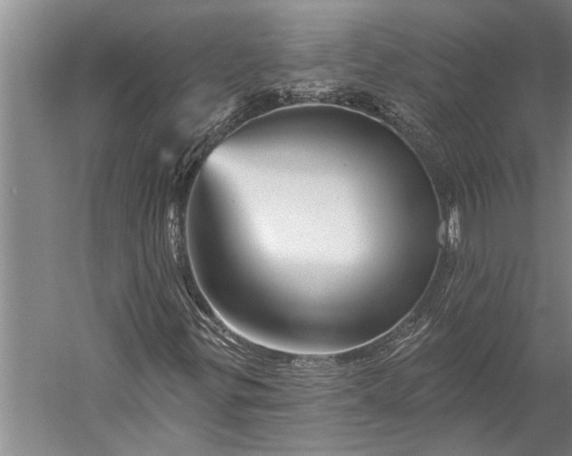 X0000056371299200509091638