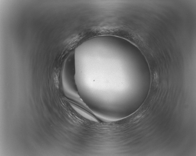 X0000056371300200509091638