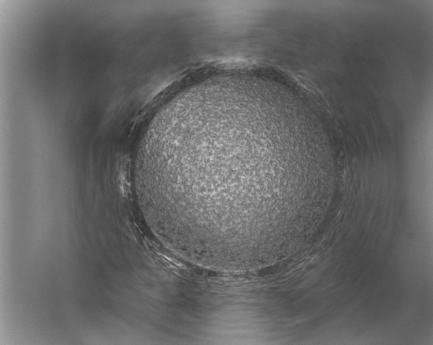 X0000056371301200509091638