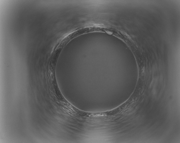 X0000056371303200509091638