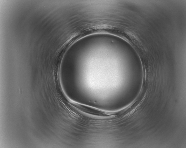 X0000056371305200509091638