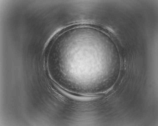 X0000056371310200509091638