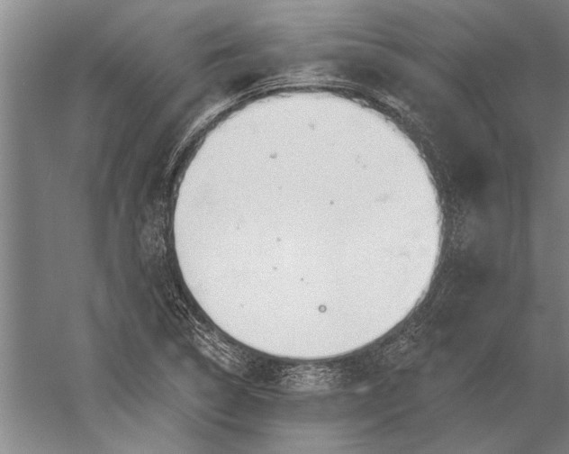 X0000056371314200509091638