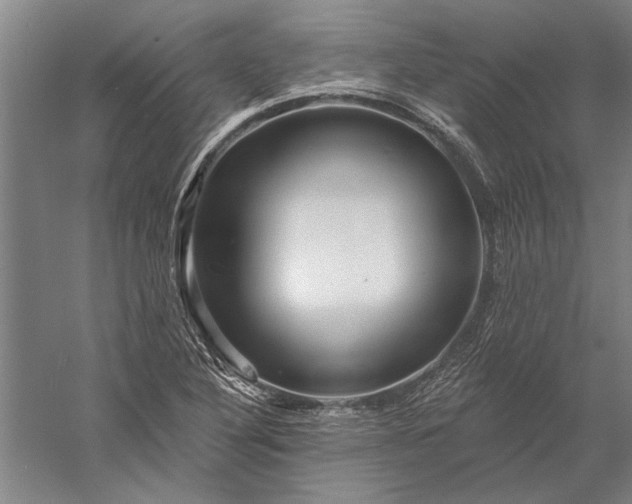 X0000056371316200509091638