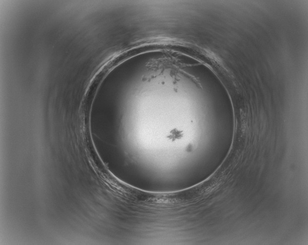 X0000056371318200509091638