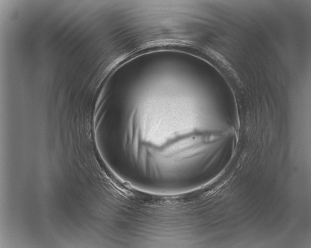 X0000056371321200509091638