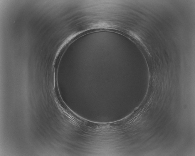 X0000056371323200509091638