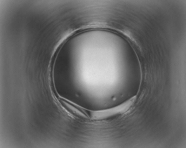 X0000056371325200509091639