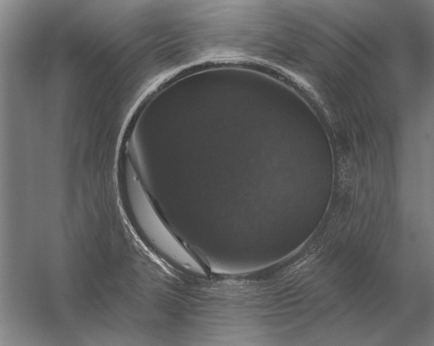 X0000056371327200509091639