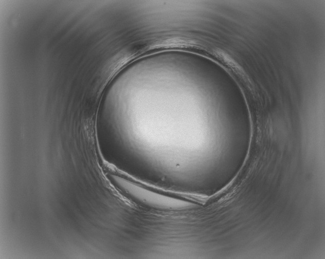 X0000056371329200509091639