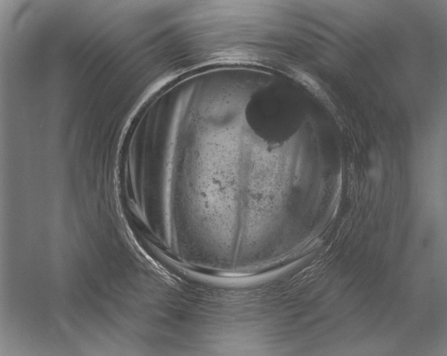 X0000056371331200509091639