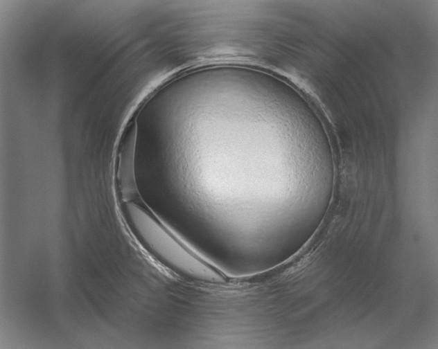 X0000056371333200509091639