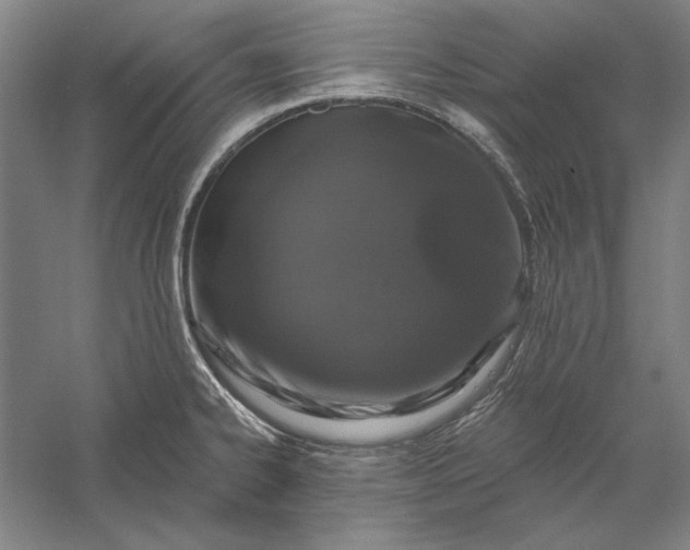 X0000056371334200509091639