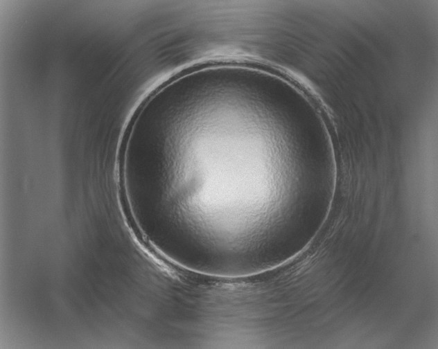 X0000056371335200509091639