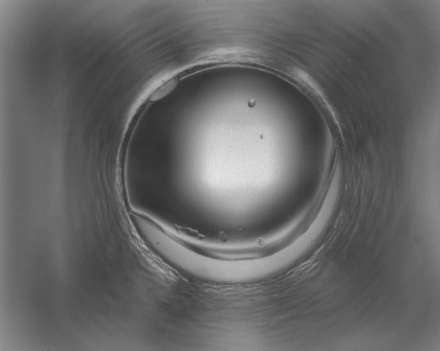 X0000056371336200509091639