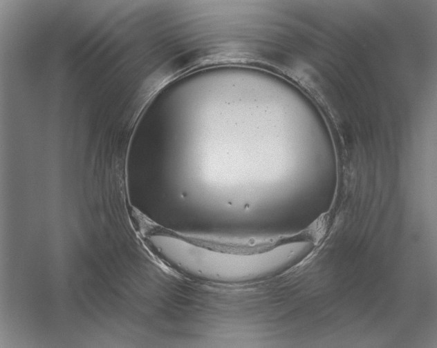 X0000056371337200509091639