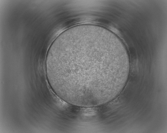 X0000056371338200509091639