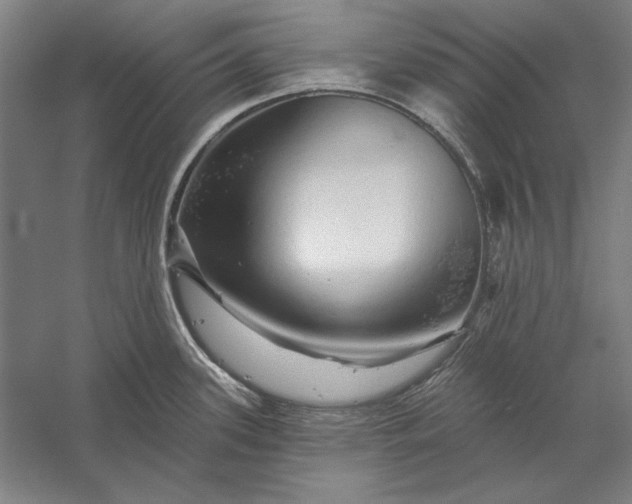 X0000056371339200509091639