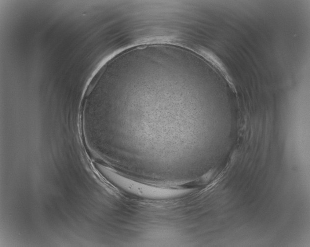 X0000056371340200509091639