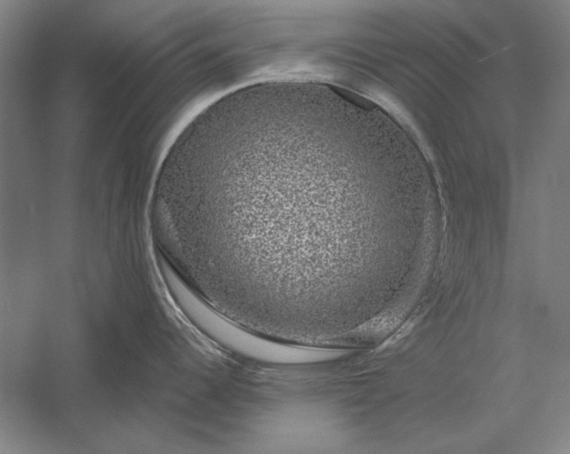 X0000056371344200509091639