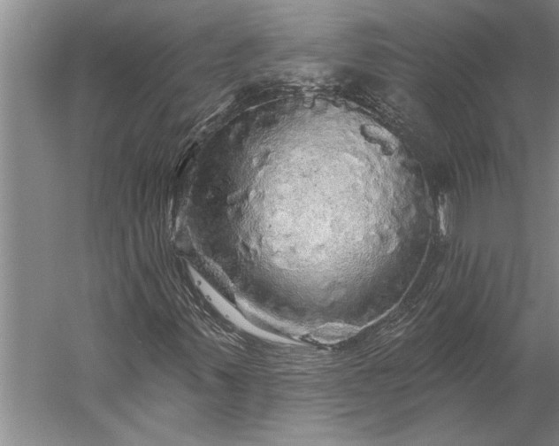 X0000056371347200509091638