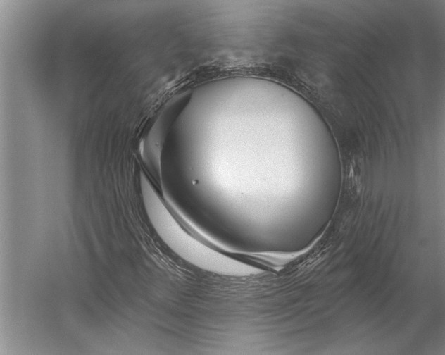 X0000056371348200509091638