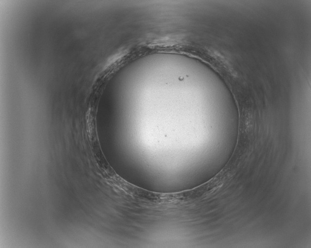 X0000056371350200509091638