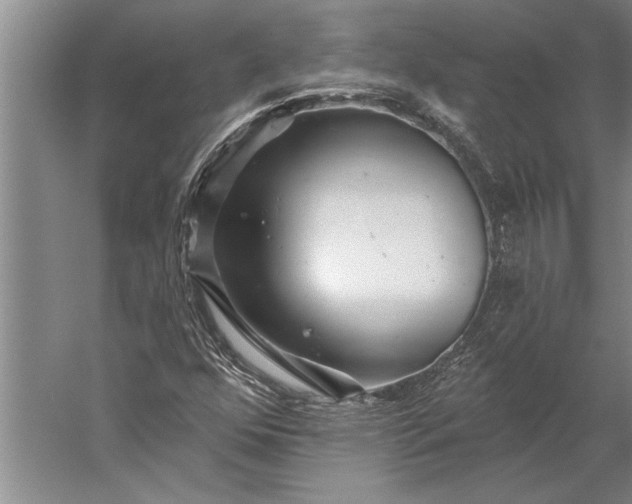 X0000056371352200509091638