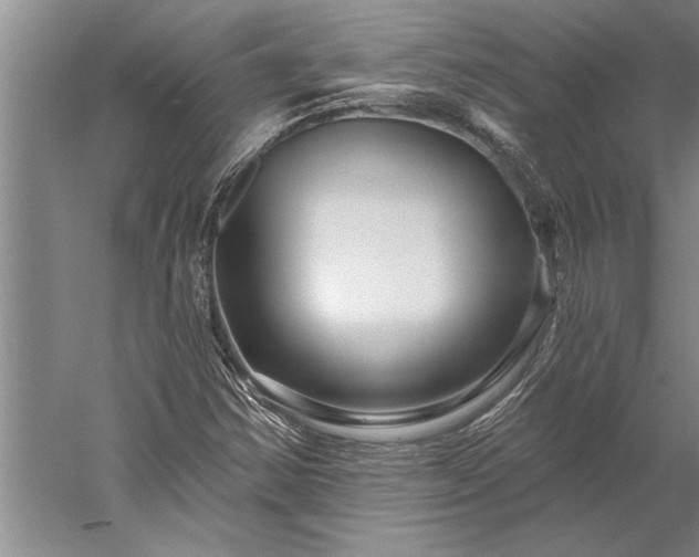 X0000056371354200509091638