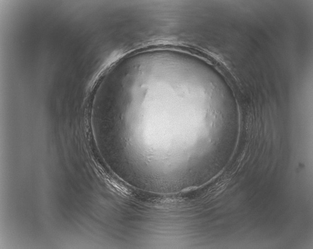 X0000056371359200509091638