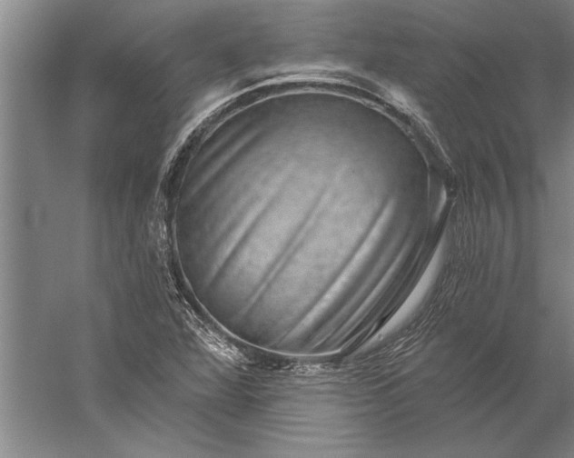 X0000056371360200509091638